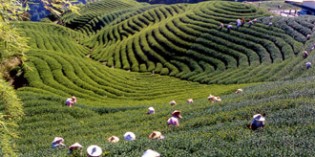 Taiwans landschaftliche Vielfalt