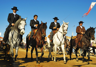 Im Mittelpunkt der traditionellen Feira Nacional do Cavalo in Portugal stehen einmal mehr die weltberühmten Lusitanos Pferde.