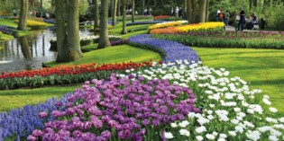Keukenhof rückt Polen in den Fokus