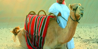 Stopover in Dubai – Stippvisite in der Wüstenmetropole