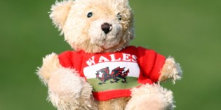 Plüschkumpeltours für Teddybär & Co