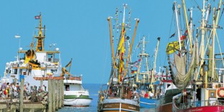 Ostfriesische Inselidylle auf Spiekeroog