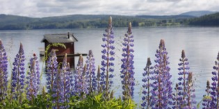 Värmland zwischen Beatles-Nostalgie und Nobelpreis-Feeling