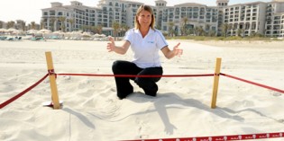 Schildkröten-Nistzeit auf Saadiyat Island