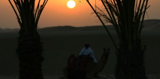 Abu Dhabi – der Vater der Gazelle