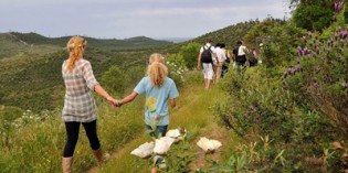 300 Kilometer ursprüngliche Natur: „Rota Vicentina“ eröffnet