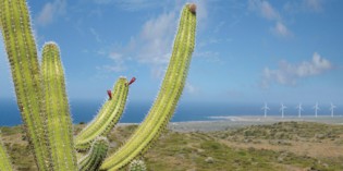 Karibikinsel Aruba setzt auf fossile Brennstoffe