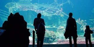 Tierisches Jubiläum: Burgers’ Zoo feiert 100-jähriges Bestehen