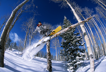 Snowboarding_Trees, Foto Aspen Snowmass