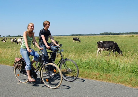 Erholsame Tour durch Friesland: Radeln im Land der Weite. (Foto: Ostfriesland Tourismus GmbH)
