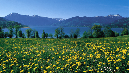 Blick_von_Kaltenbrunn_auf_den_Tegernsee_Quelle_Tegernseer_Tal_Tourismus_GmbH
