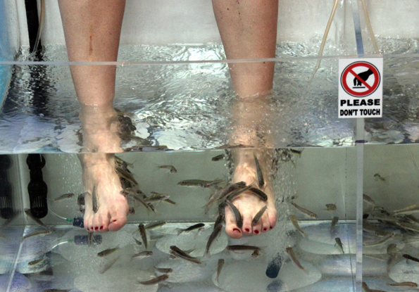 Happy Feet im Fish Foot Spa von Sliema auf Malta. (Copyright Karsten-Thilo Raab)