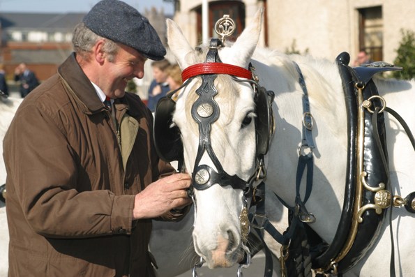 Noch immer karren einige Händler ihre Waren mit dem Pferdewagen zu Dublins Märkten. (Foto: Karsten-Thilo Raab)