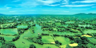 Hangzhou – Chinas Eldorado für Feinschmecker
