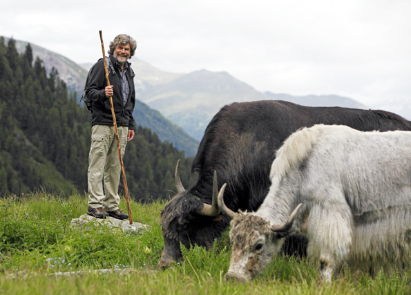 Reinhold Messner begleitet seine tibetischen Yaks jedes Jahr Ende Juni auf die Sommerweide im Ortlergebiet im Vinschgau. Foto: Frieder Blickle