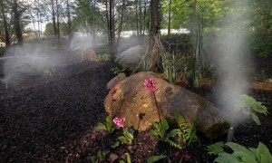 In 80 Gärten um die Welt: Gartenschau in Hamburg – Karten zu gewinnen