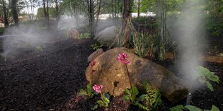In 80 Gärten um die Welt: Gartenschau in Hamburg – Karten zu gewinnen