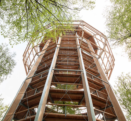 Der  beeindruckende Turm des Baumwipfelpfades