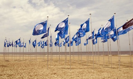 Ein Meer von Blauen Flaggen an Hollands Meer