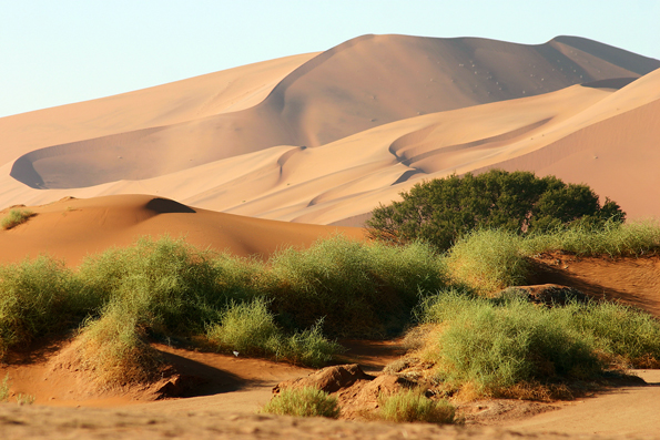 Ritterschlag für das afrikanische Namibia: Das Dünenmeer der Namib Wüste wurde zum Weltkulturerbe der UNESCO erhoben. (Foto: Namibia Tourism Board)