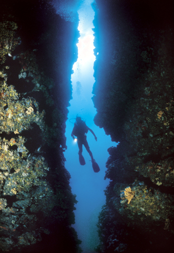 Die Unterwasserwelt der Kvarner Bucht lädt zu atemberaubenden Entdeckungstouren ein. (Foto: TVB Kvarner)