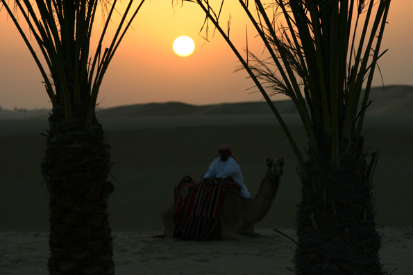 Nicht nur im Stadtzentrum von Dubai, sondern auch in den umliegenden Wüstengebieten gibt es einiges zu entdecken. (Foto: Karsten-Thilo Raab)