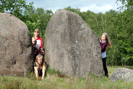Beeindruckend: Diese mächtigen Steine kann man bei einer "Zeitreise ins Steinreich" in der Wildeshauser Geest entdecken. (Foto: Naturpark Wildeshauser Geest)