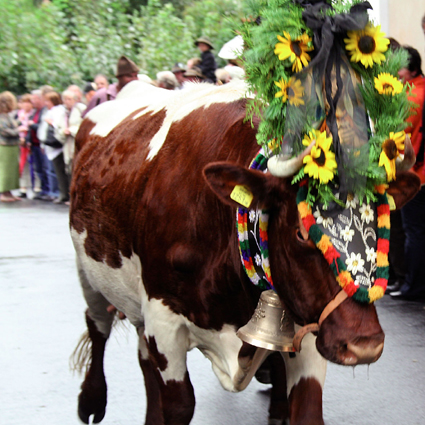 Ein Erlebnis für Groß und Klein ist auch die Rauriser Bauernherbstwoche. (Foto: TV Rauris)