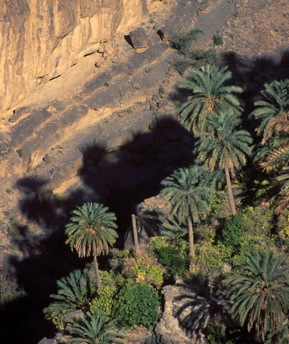 Tiefe Schluchten und tolle Ausblicke bietet der höchste Berg Omans. (Foto: Sultanat Oman)
