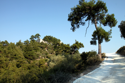 Traumhafte Wanderwege, von Pinien und anderen Nadelhölzern gesäumt, finden sich in Griechenland. (Foto: Karsten-Thilo Raab)