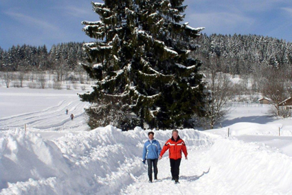 Willkommen im Winter: Schöne Touren durch eine traumhafte Schneelandschaft machen die kalte Jahreszeit zum Vergnügen. (Foto: djd)