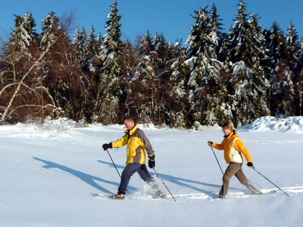 Auf Schneeschuhen die Winterlandschaft zu erobern, ist eine ungewöhnliche und spannende Erfahrung. (Foto: djd)