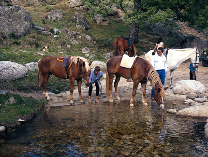 Flüsse und Bachläufe laden auf dem Camino de Levante immer wieder zu kleinen Pausen für Pferd und Reiter ein. 