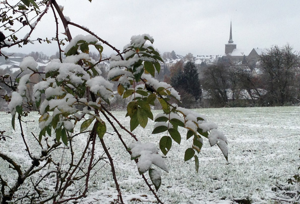 In Ostbelgien hat Fraue Holle den Winter - zwar noch etwas zögerlich - eingeläutet. 
