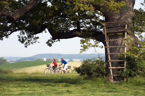Ein Genuss für Radfahrer sind die vielen ruhigen Strecken, die durch Wiesen und Wälder führen. (Foto: A. Hub)
