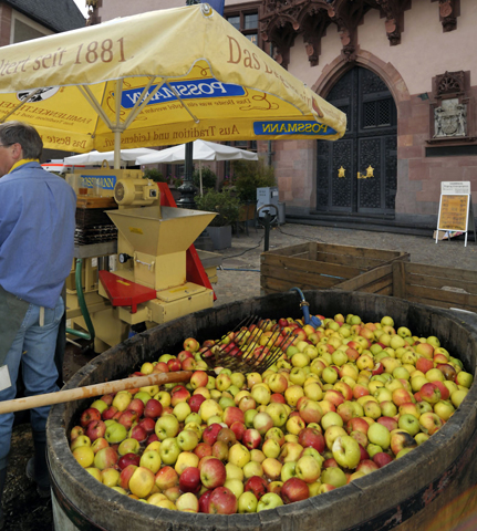 Die Äpfel zur Herstellung des "Ebbelwei" stammen aus dem Frankfurter Umland. (Foto: djd)