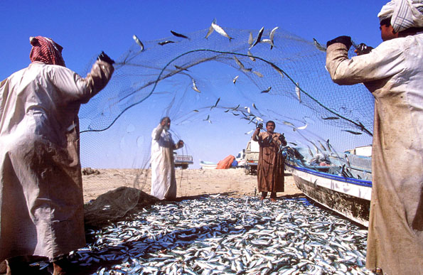 Die Fischer landen in den Morgenstunden ihren Fang direkt an der Mole des Marktes an. (Foto: djd)