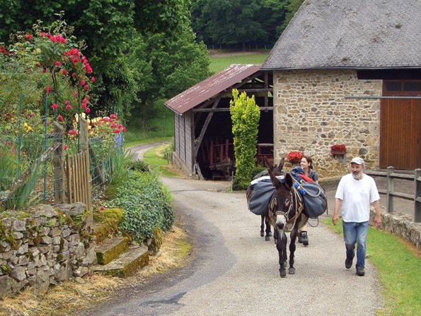 Rund um das französische Limoges haben Eselwanderungen Hochkonjunktur. 