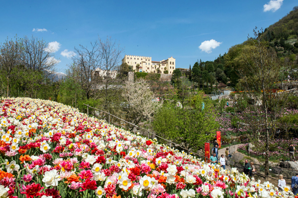 Die Gärten von Schloss Trauttmansdorff kleiden sich das ganze Gartenjahr hindurch in bunte Farben. (Foto: djd)