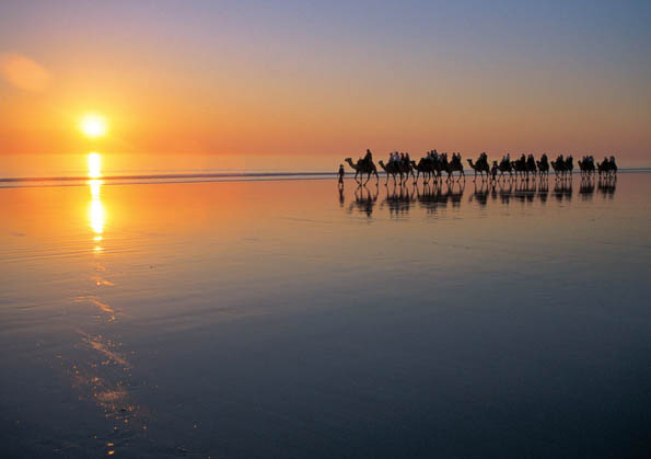 Zu den Dingen, die man in Westaustralien unbedingt erlebt haben sollte, gehört ein Kamelritt bei Sonnenuntergang über den berühmten Cable Beach. 