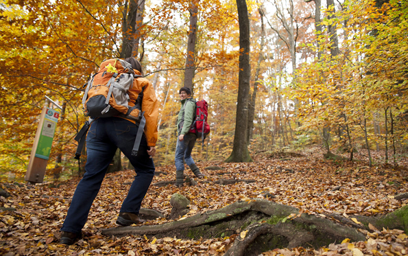 Sportliches Wandern in Naturparks oder gemütliche Touren entlang der Flusstäler: Im nördlichen Baden-Württemberg können sich Wanderfreunde auf abwechslungsreiche Touren freuen. (Foto: djd)