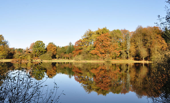 Der Naturpark Hüttener Berge, mitten in Schleswig-Holstein gelegen, ist zu jeder Jahreszeit ein Erlebnis. (Foto: djd)
