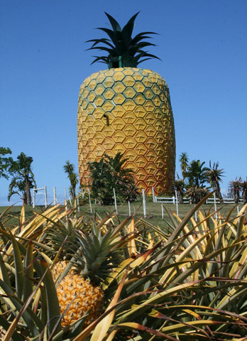 Wahrzeichen von Bathhurst in der Provinz Eastern Cape ist eine gigantische Ananas.