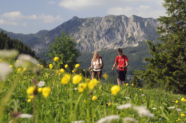In den Tannheimer Bergen zeigt sich Tirol von seiner schönsten Seite. 
