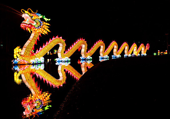 Faszinierende Lichtinstallation werden im Rahmen von "China Light Utrecht" in den botanischen Garten der Domstadt gezaubert. (Foto: Fred Ernst)