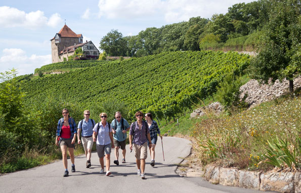 Wer die reizvolle Weinlandschaft aktiv erkunden möchte, kann zum Beispiel Tagestouren entlang des Württembergischen Weinwanderwegs unternehmen. (Foto: djd)