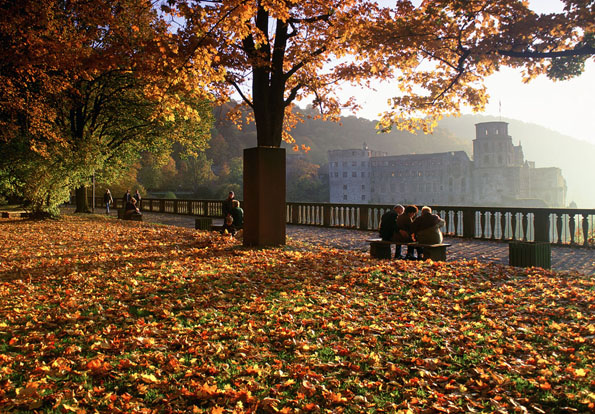 Mutet im Herbst wildromantisch an: Der heidelberger Schlossgarten. (Fotos Heidelberg Marketing)