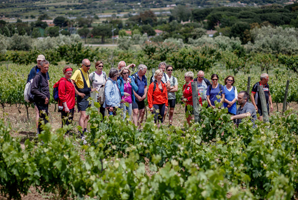 Gut zwei Dutzend Weingüter geben entlang der  Weinroute Empordà einen Einblick in ihre Arbeit. (Fotos: Tursime Costa Brava Girona)