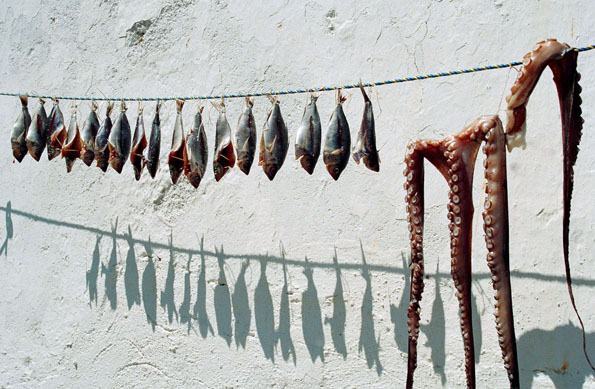 Hier werden die Meeresfrüchte zum Trocknen einfach über die Leine gehängt. (Foto: Artin Karakasian)