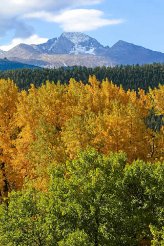 Herbstanfang im Rocky Mountain Nationalpark mit dem Longs Peak im Hintergrund (Fotos Colorado Tourism Office)
